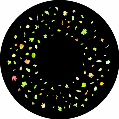 Leaf (colour) - 6” Picture Wheel