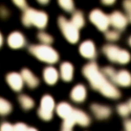 Sunlight Through Trees Effect