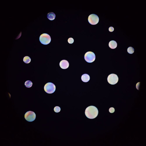 Bubble (Colour) - 6” Picture Wheel