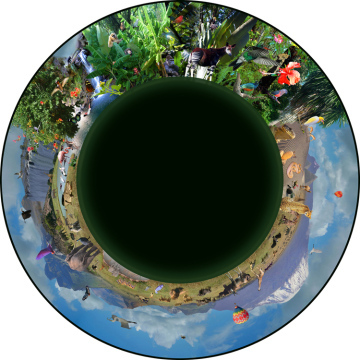 Max Effect African Safari - 9� Picture Wheel