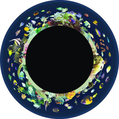 Max Effect Coral Reef - 9” Picture Wheel