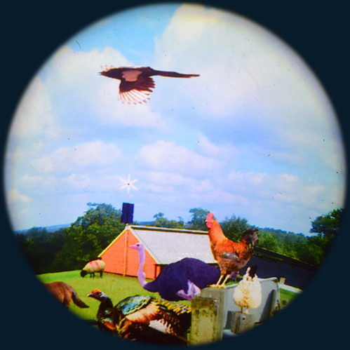 Max Effect Farming - 9” Picture Wheel