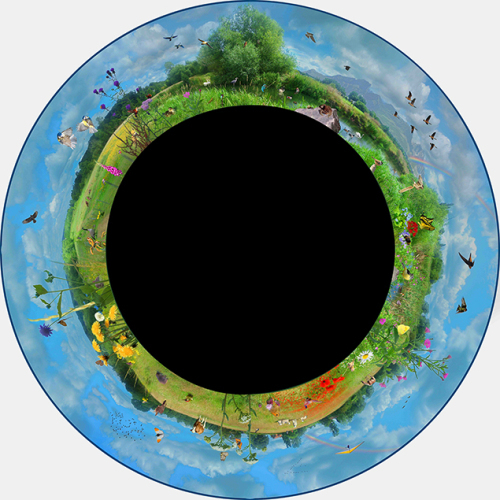 Max Effect Meadows - 9� Picture Wheel