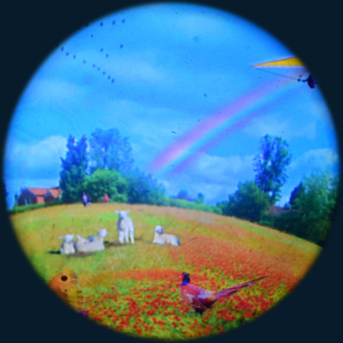 Max Effect Meadows - 9� Picture Wheel