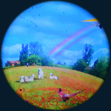 Max Effect Meadows - 9 Picture Wheel