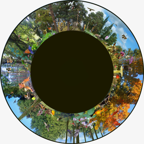 Max Effect Woodland - 9” Picture Wheel