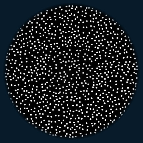 Dot - 6” Picture Wheel